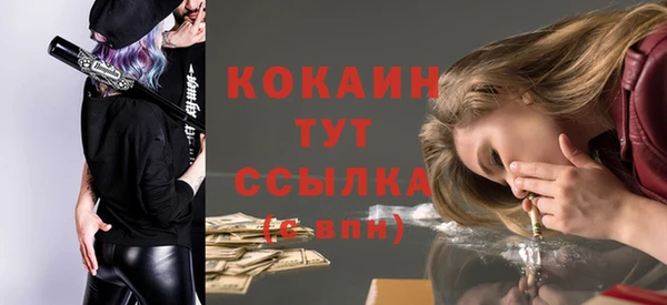 мяу мяу мука Михайловск