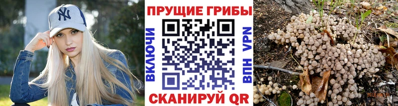 Галлюциногенные грибы ЛСД Шагонар